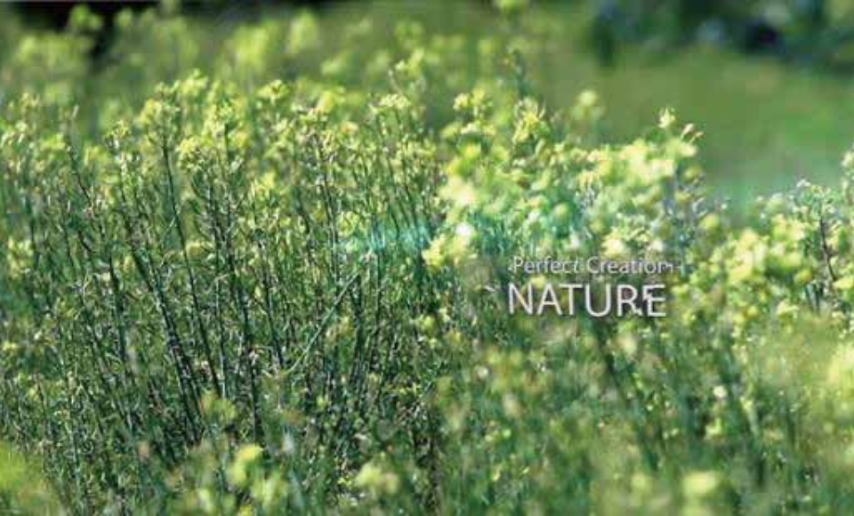 04 - 創(chuàng)新研發(fā)皮膚機(jī)理